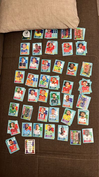 Panini world cup 2026