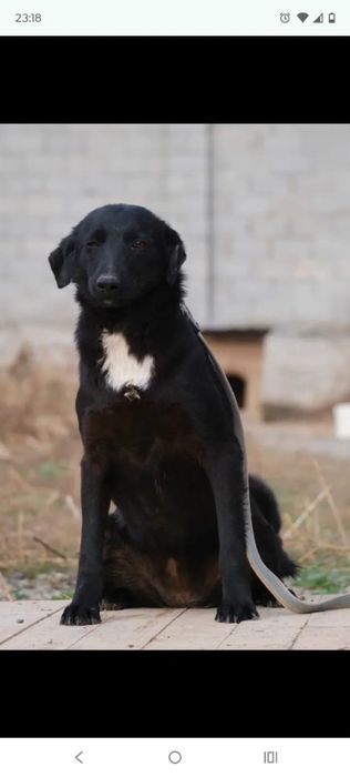 сТорожа, ОхраНики, ЗвоНочки .