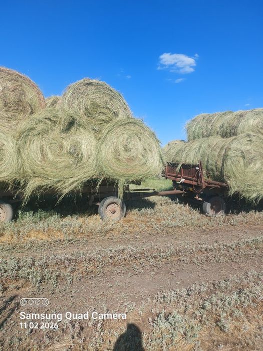 Продам рулоны житняк