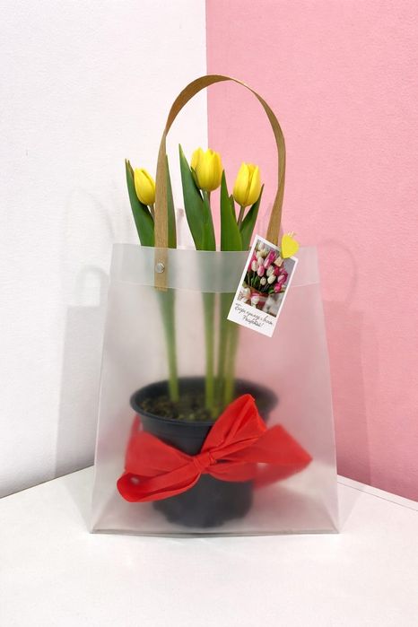 Тюльпаны, от которых тает сердце