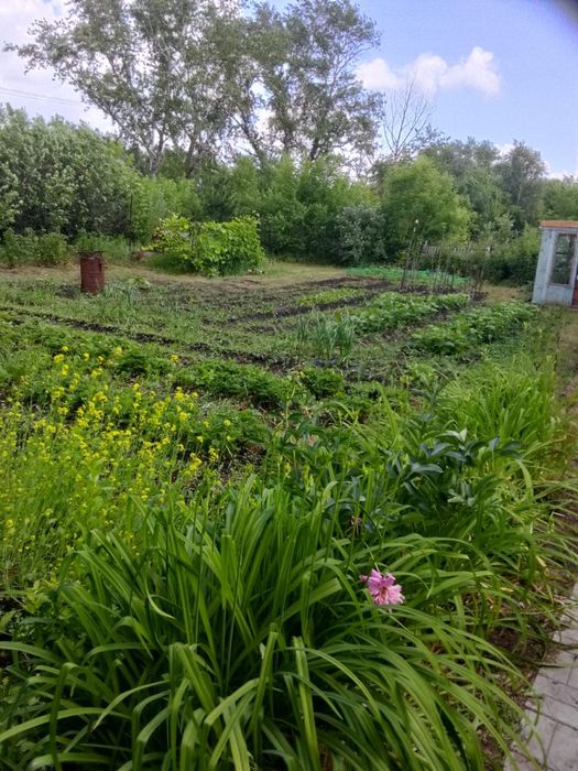 Продам дачу с домиком