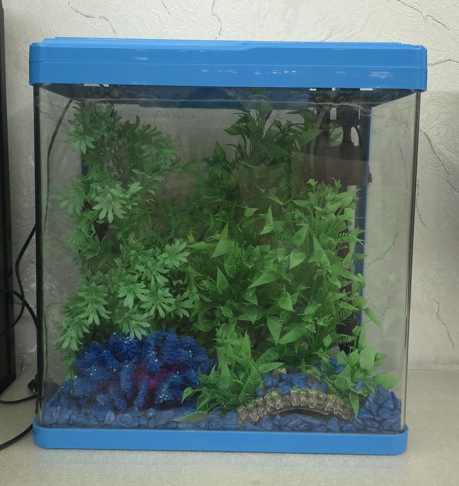 Акварюм синей света
