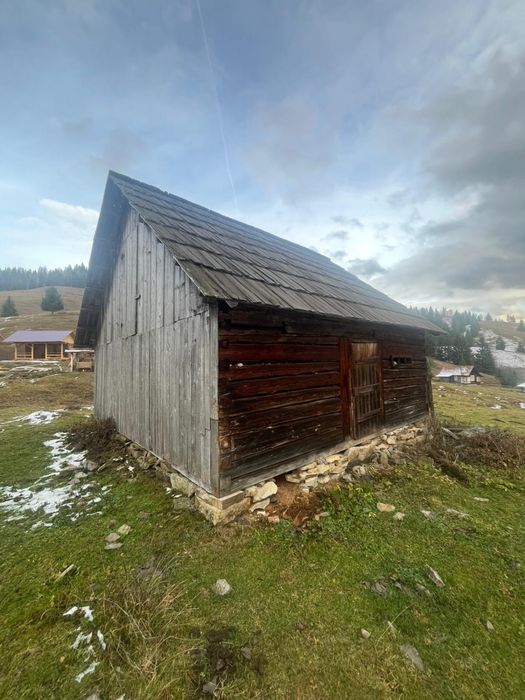 Vand constructie din lemn cioplit