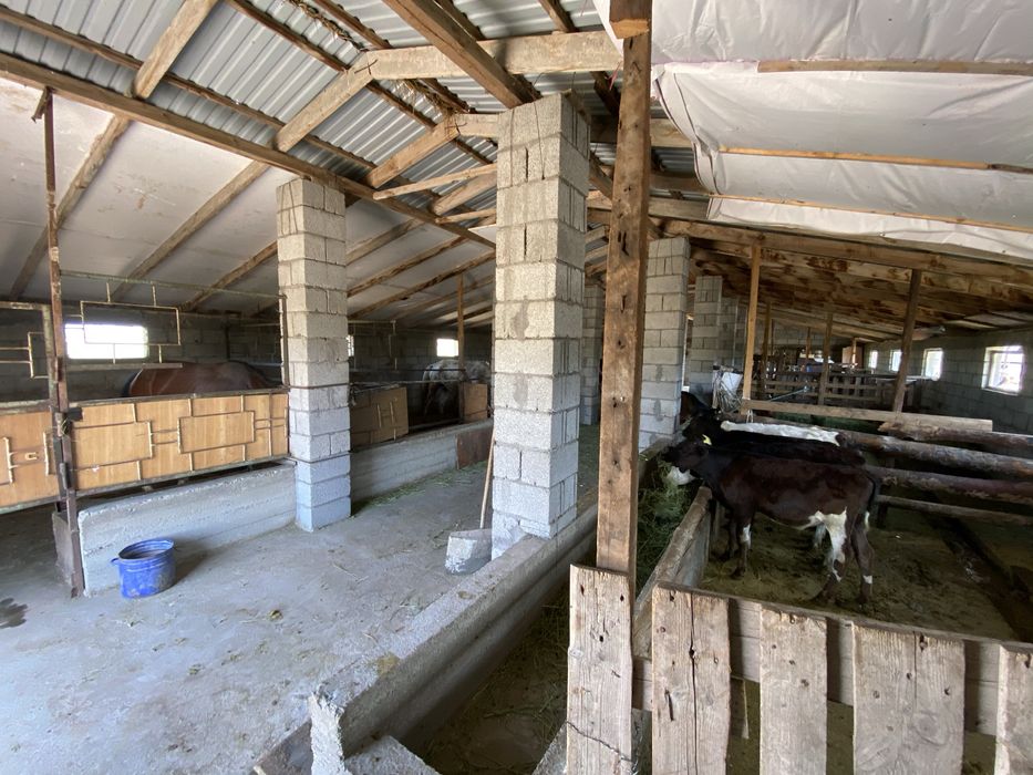 Продам Фазенду В Талдыкоргане