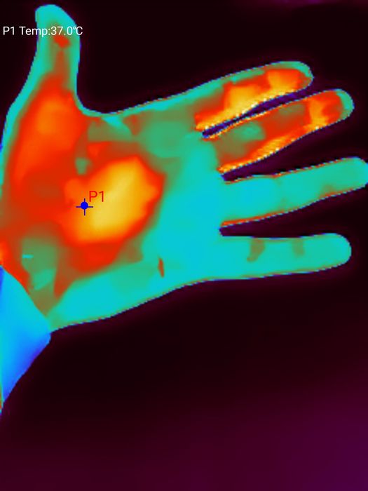 Thermal master P1 термо камера