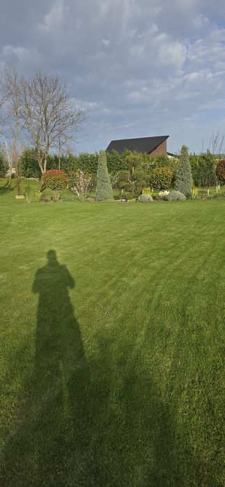 Amenajare/tuns/intretinere spatiu verde