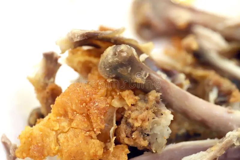 Отдам бесплатно отходы для собак район площади .