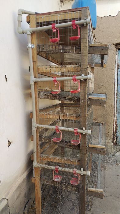 Бөдене бағуға арналған тор сатылады