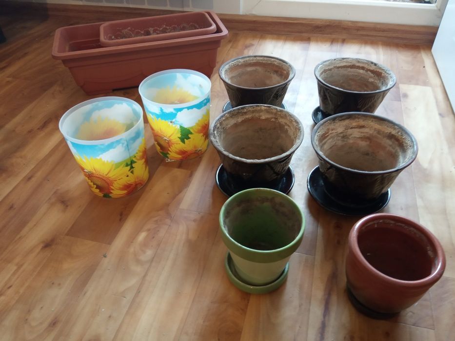 Горшки для посадки растений