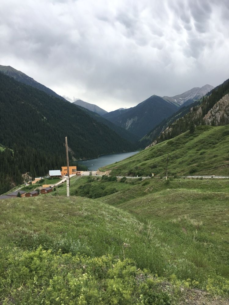 Кайынды Бао