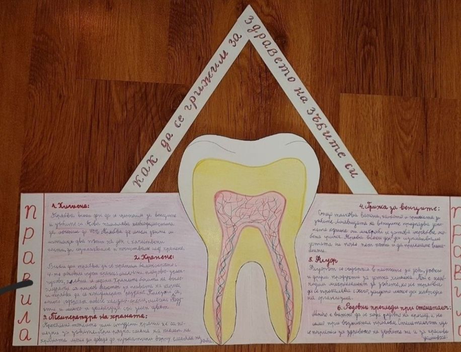 Учебници за 4.клас и проект по Човекът и природата за 6.клас
