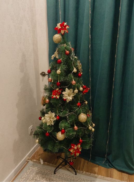 Продам елку срочно! Шырша сатамын срочно