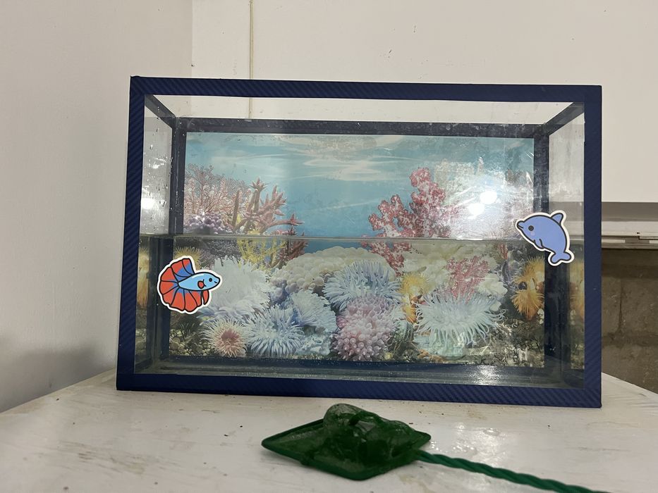 Аквариум для рыб