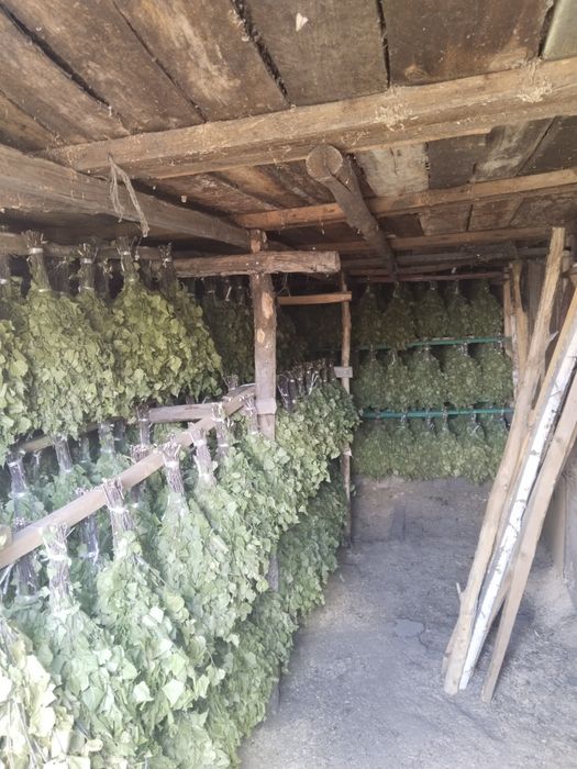 Продам Веники Березовые