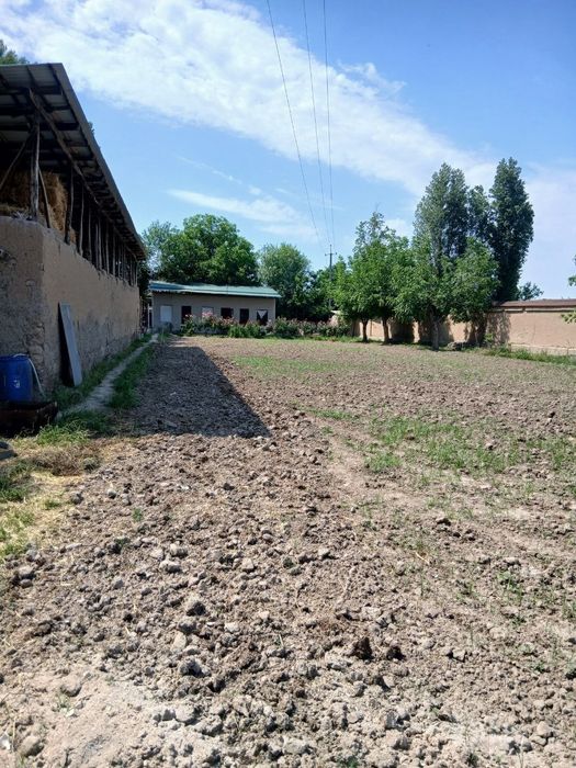 Yer Sotiladi yaxshi lakatsada joylashgan