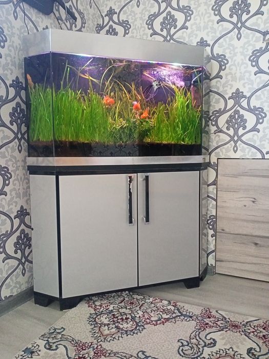 Продаётся акварюм