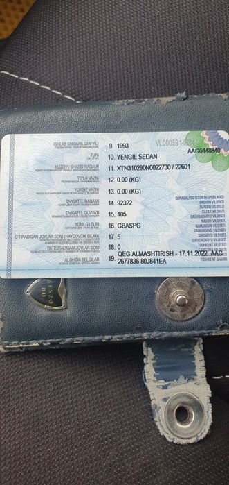 Волга, Volga 31 сотилади