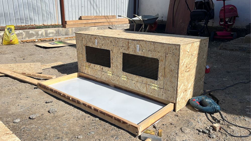 Брудер гниздо дамашный птица