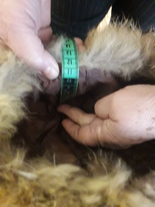 Дамска шапка от лисица