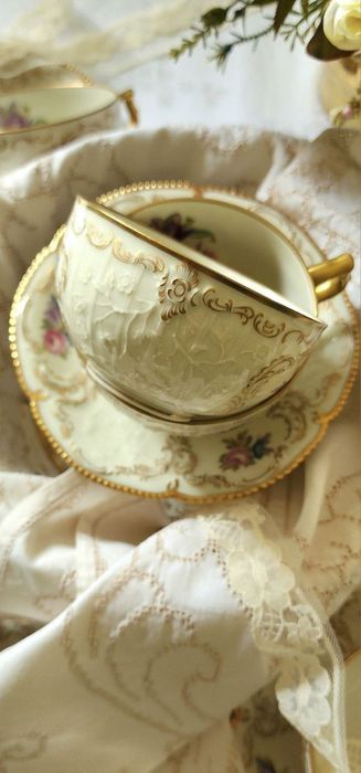 Набор чайных пар Diplomat Rosenthal