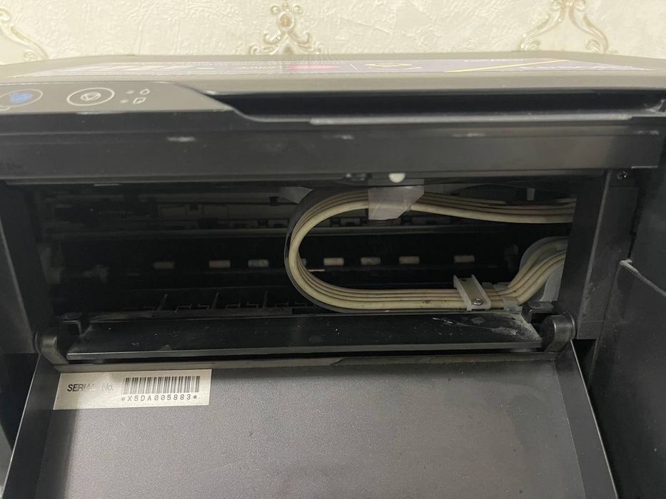 Printer 3v1, svetnoy Epson L3100