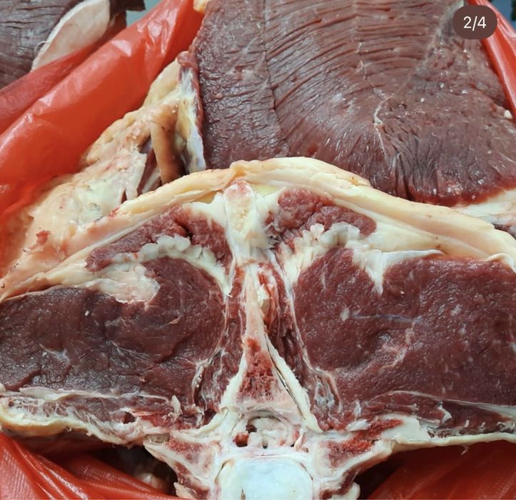 msone бар деодағы маған порно