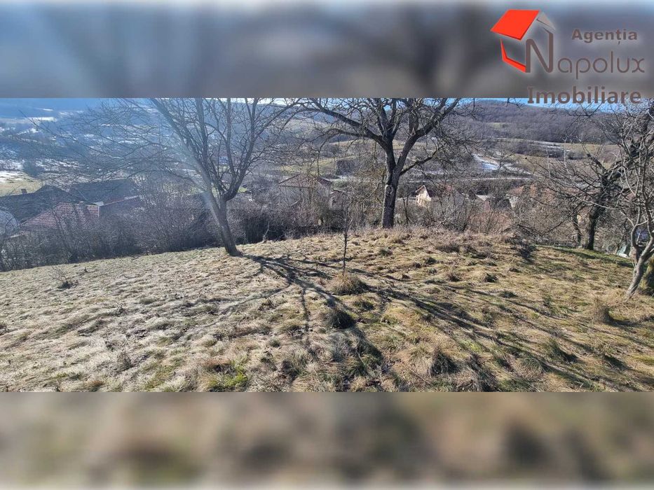 Teren de exceptie 3,1 ha intravilan | Panorama, utilitati, acces dublu | Sardu