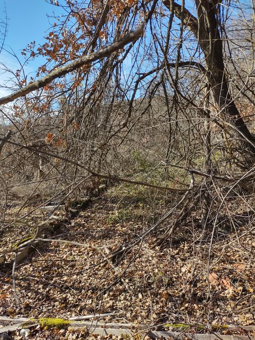 Земеделски имот Шереметя