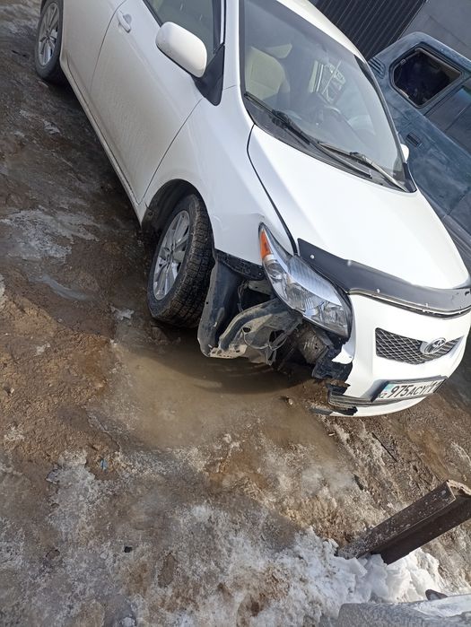 Костоправ маляр полировка