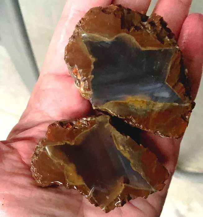 2 piese geoda agat Thunderegg Oregon