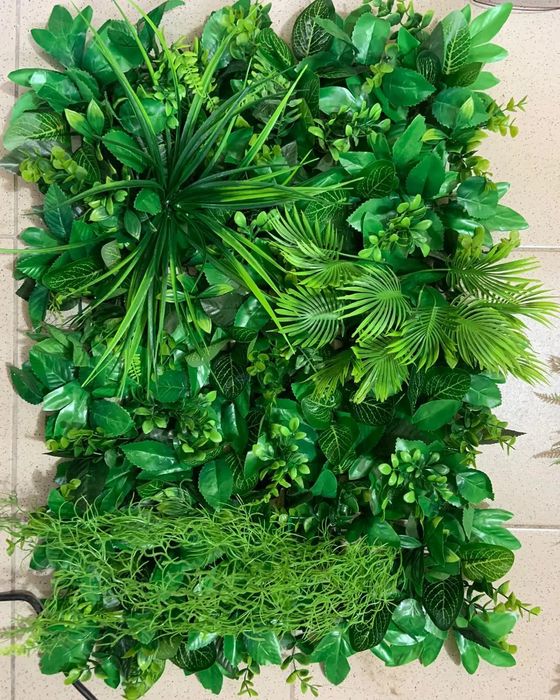 Зелень, фитостены, цветы