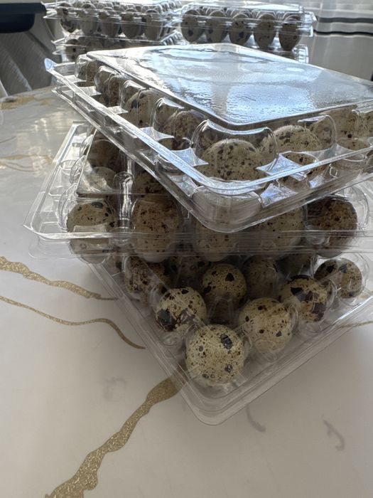 Продам домашнее перепелиное яйцо.