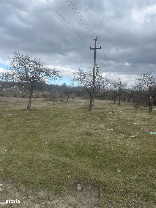 Campina - teren intravilan 4400mp - 17 Euro/mp