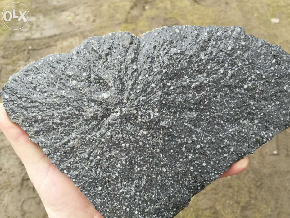 piatra naturala debitata