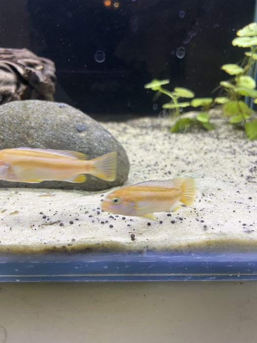 Аквариум 150литров комплект