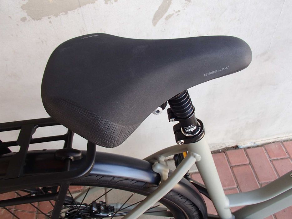 Bicicleta Olandeza Gazelle-Nou