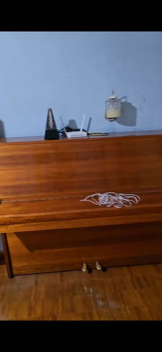 Цум 3/1/4 студентам семье