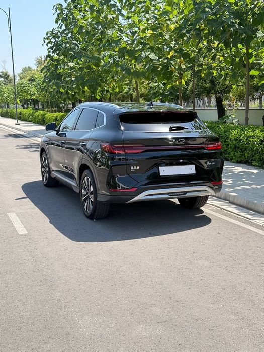 BYD Smart 2025 yil