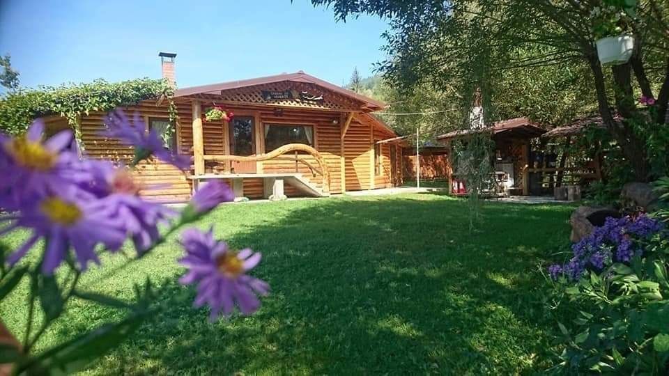 Cazare Cabana cu Veverite din Vatra Dornei,,cu ciubar cu aeromasaj,,