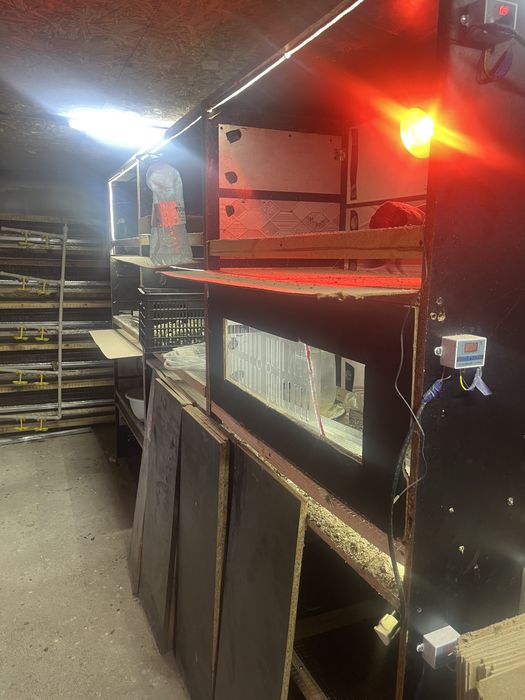 Продам клетка для перепелов