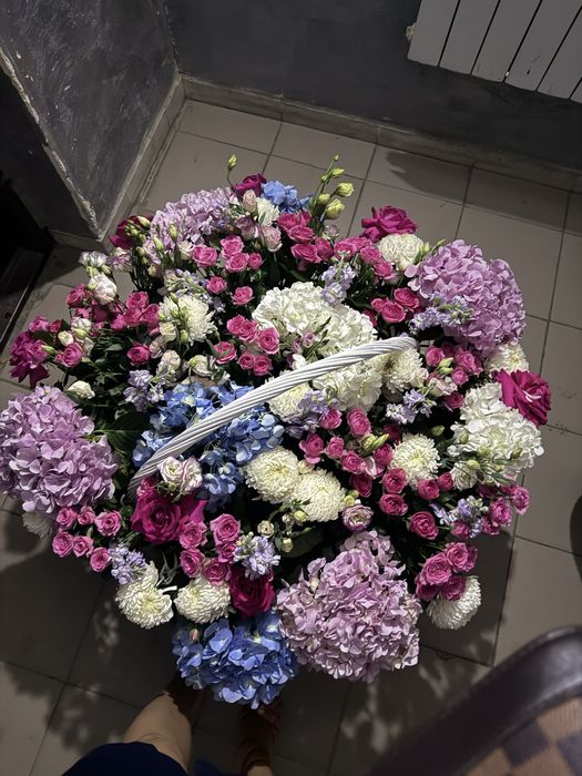 Цветы гортензии большие