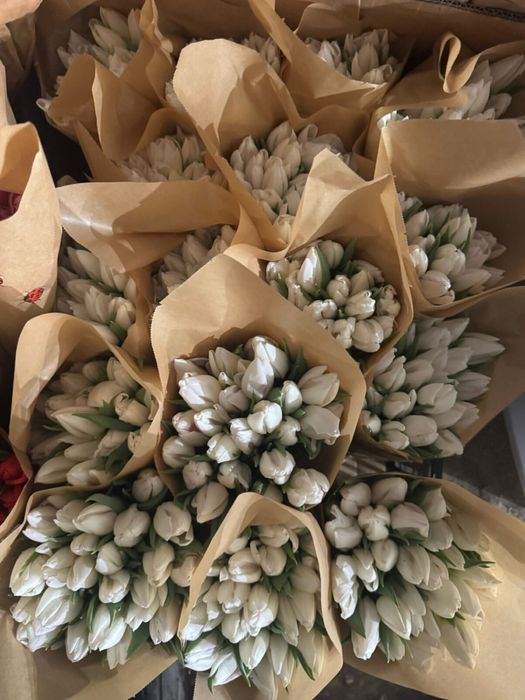 Тюльпаны на 8март