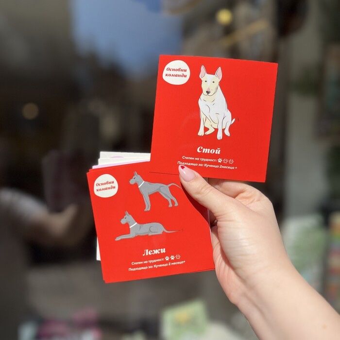 Тренировъчни карти за куче