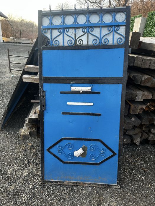 Porta acces auto si poarta pietonala