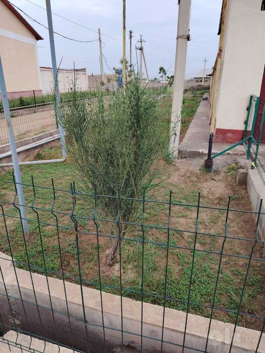 6 sotixli katej sotiladi