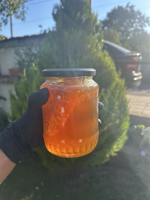 Мед,пчелен прашец ,пчелна рамка с мед - /ЛУКС/— /В БУРКАН/