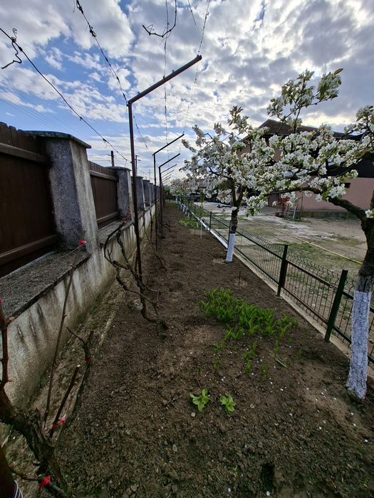 Direct proprietar-Vila de vanzare