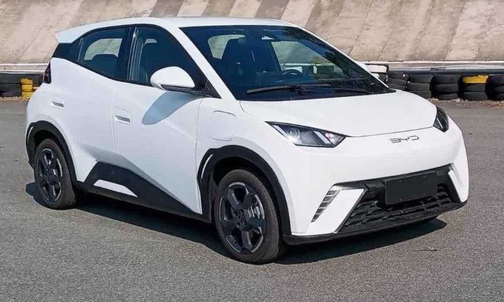 byd seagull pad zakaz