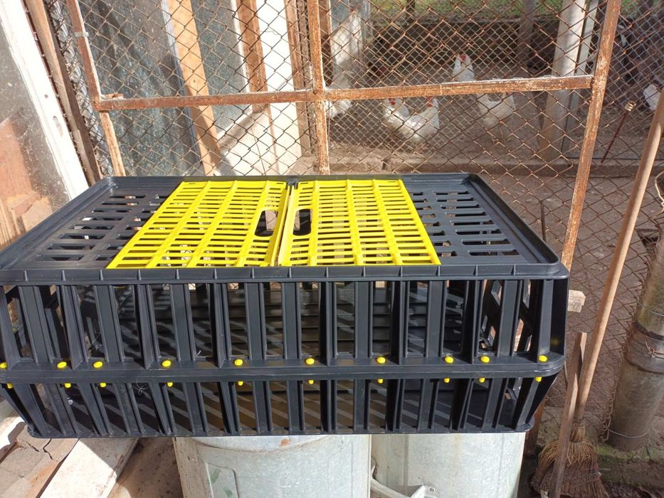 Транспортна клетка за кокошки, клетки за пътпадъци, пътпадъци и яйца