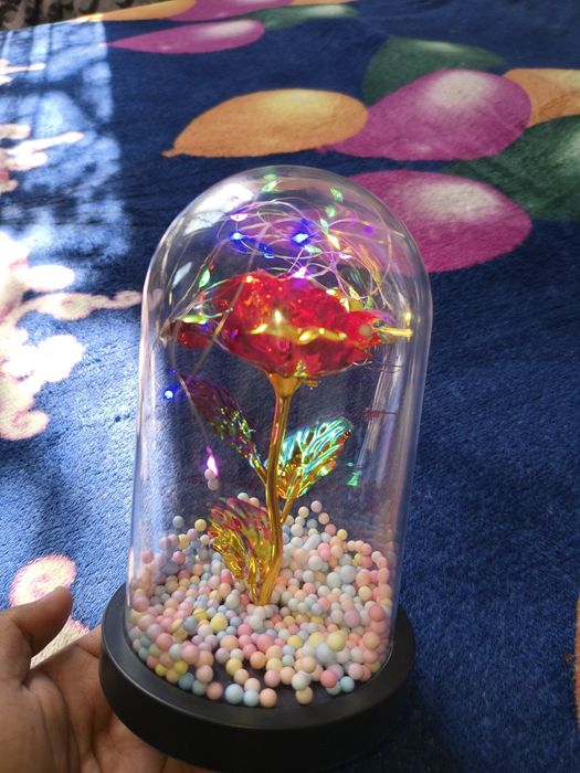 Glob frumoasa și Bestia